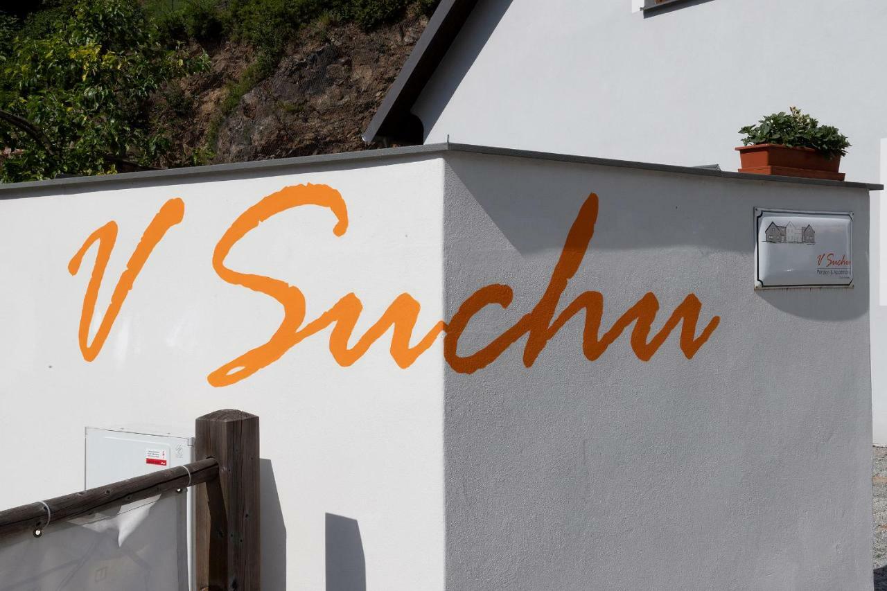 Penzion V Suchu Cesky Krumlov Bagian luar foto